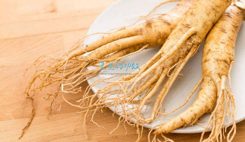 灵芝的功效与虫草人参对比 灵芝是五经上品药材