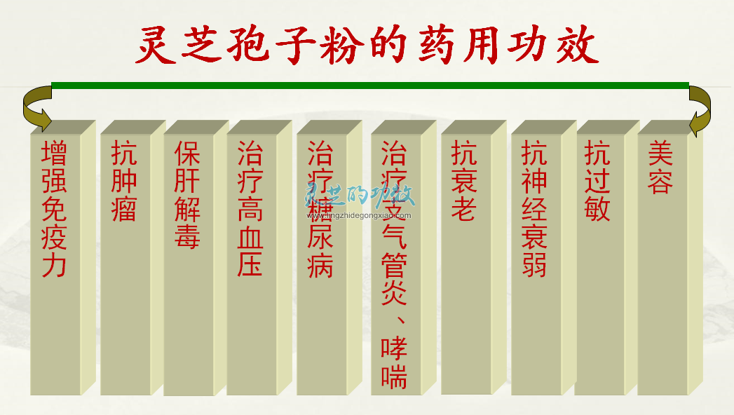 灵芝孢子是灵芝的精华 灵芝孢子粉的功效与作用