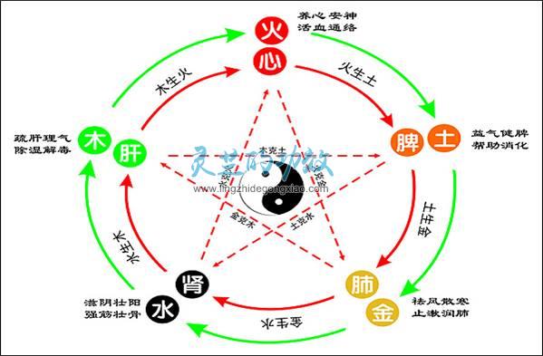 灵芝唯一能入五经的上品草药 灵芝的功效是补益全身五脏之气