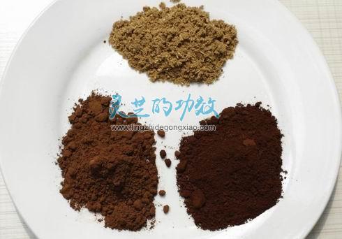 灵芝孢子粉与灵芝破壁孢子粉的区别