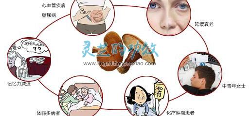 灵芝破壁孢子粉禁忌有哪些？那些人群不适宜吃？