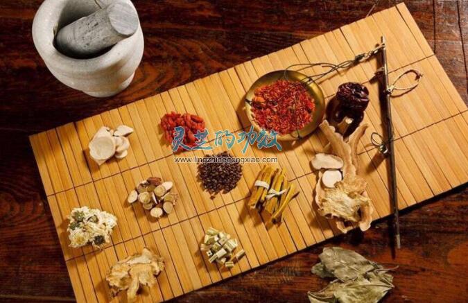 灵芝的功效：兼备君臣佐使，一味灵芝即可成方