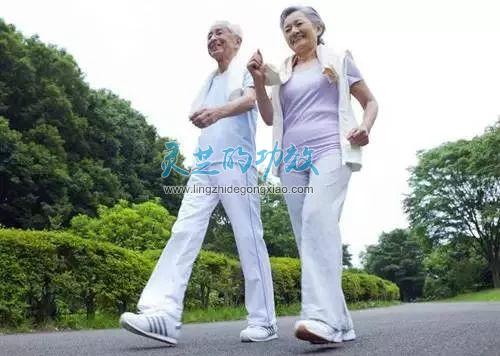 泰山灵芝养生助力中国梦健康梦