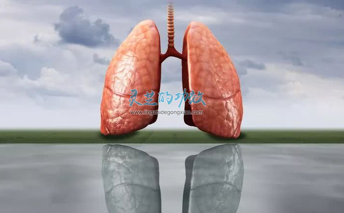 灵芝孢子粉可滋补肺气，提高免疫力，让你远离肺癌