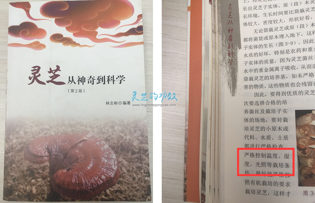 野生灵芝主要分布在我国的哪些地区？