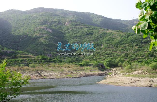 灵芝哪里产的最好，为什么是泰山灵芝？