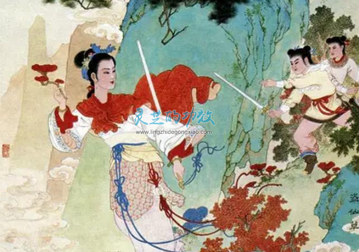 为什么大的灵芝、老的灵芝功效却不好？
