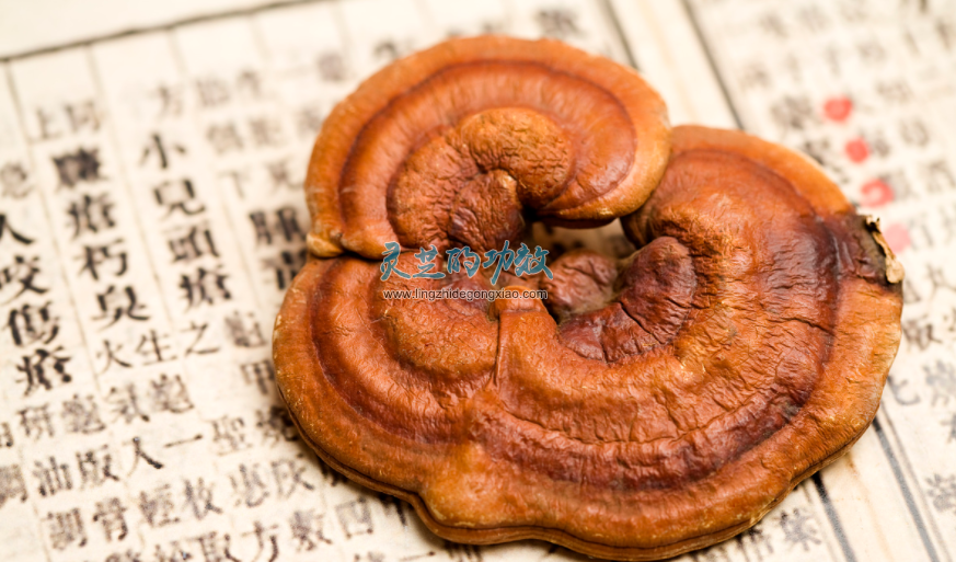 灵芝孢子粉有没有毒副作用？适合长期服用吗？