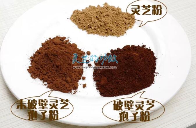 如何鉴别灵芝孢子粉的真假好坏？优质灵芝孢子粉是什么样的？