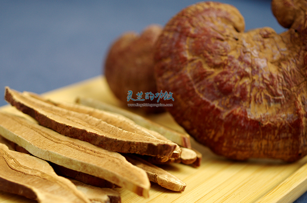 发霉、虫蛀？灵芝到底应该如何保存？
