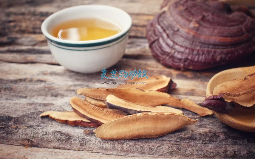 灵芝被纳入药食同源物质管理目录工作取得新突破