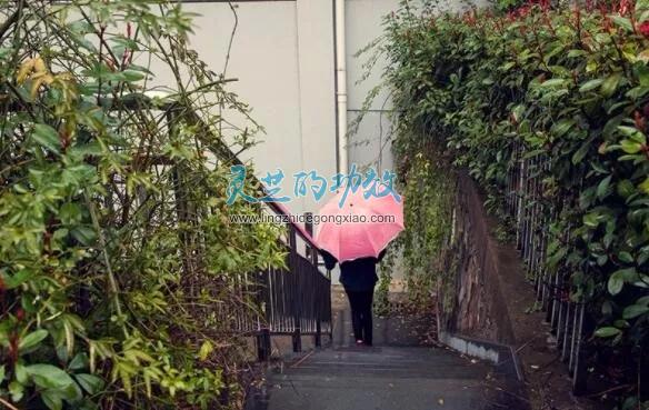 “雨水”时节，灵芝孢子粉养护脾胃正当时