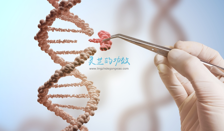 【科普】灵芝的功效与作用之来自灵芝三萜的自我介绍