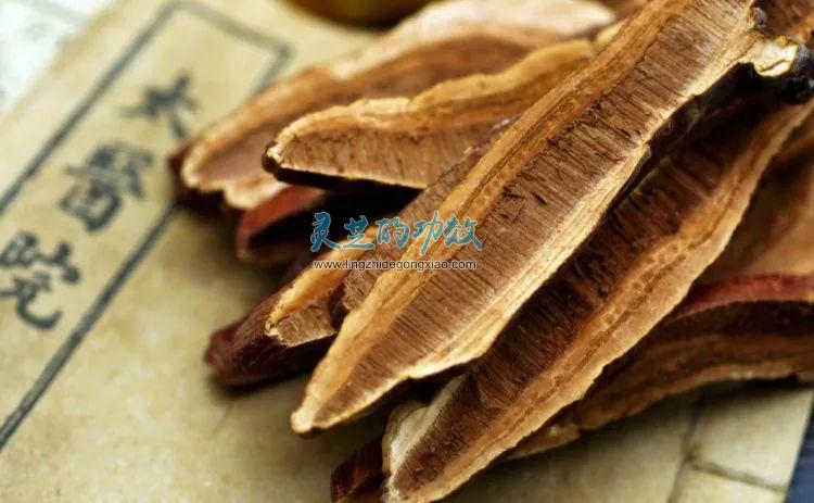 古代进贡宫廷的泰山灵芝都具有一味成方的特性