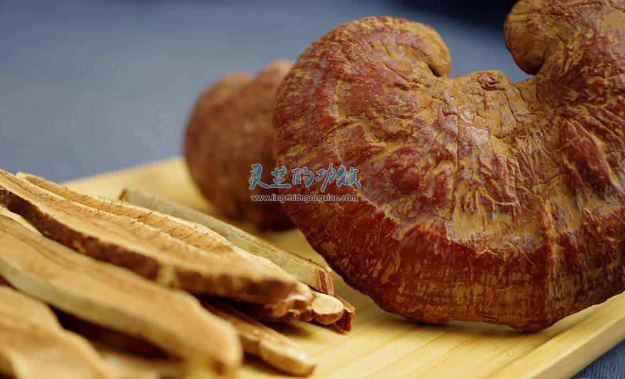 灵芝的功效与作用——灵芝是“药食同源”的物质,应该如何理解? 灵芝的功效与作用——灵芝是“药食同源”的物质,应该如何理解?