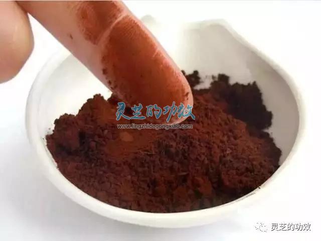 灵芝孢子粉的功效与作用——吃了灵芝孢子粉刺激肠胃？