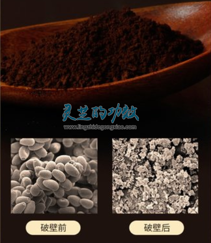 灵芝孢子粉挂壁与品质有关系吗？