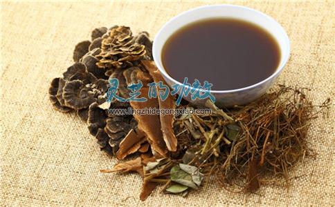 灵芝能一味成方与中药组方复方