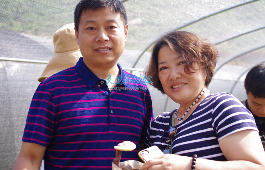 一味成方尹涛：为什么举办泰山采芝节？