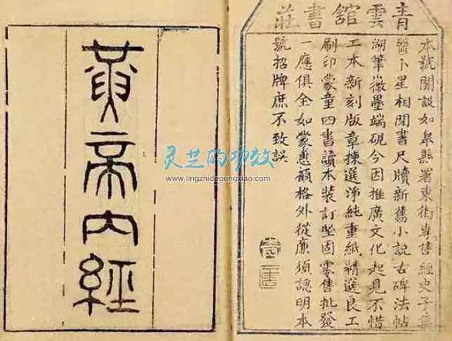 道家思想的运用：药食同源一味成方与治未病