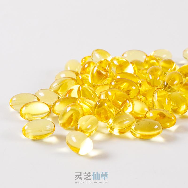 灵芝孢子油品牌排行榜