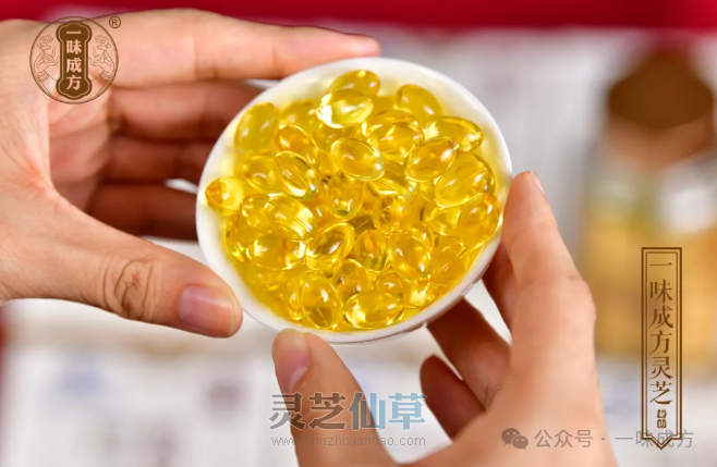 一味成方尹涛：为什么专家更建议灵芝孢子粉和孢子油搭配着吃？