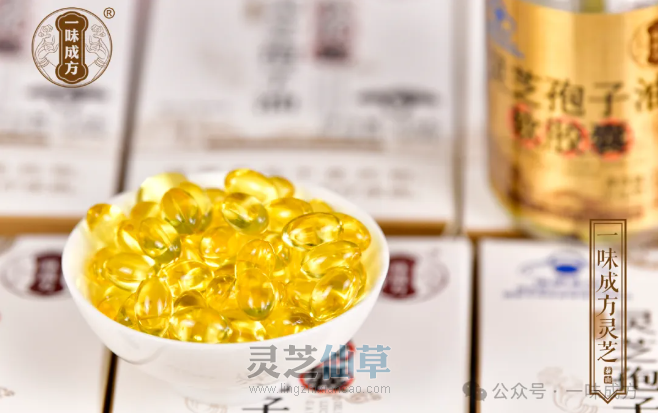 如何挑选灵芝孢子油？八步工艺成就精品