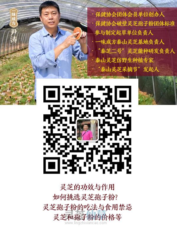 如何挑选灵芝孢子油？八步工艺成就精品