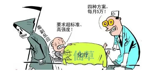 灵芝孢子油如何温柔调控癌症治疗? 灵芝孢子油如何温柔调控癌症治疗?