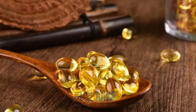 灵芝孢子油如何温柔调控癌症治疗？