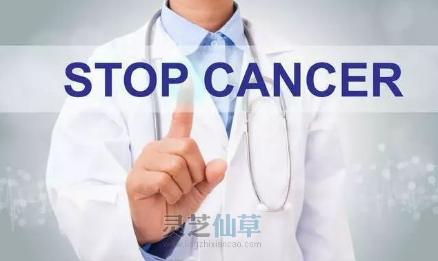 灵芝孢子油如何温柔调控癌症治疗？