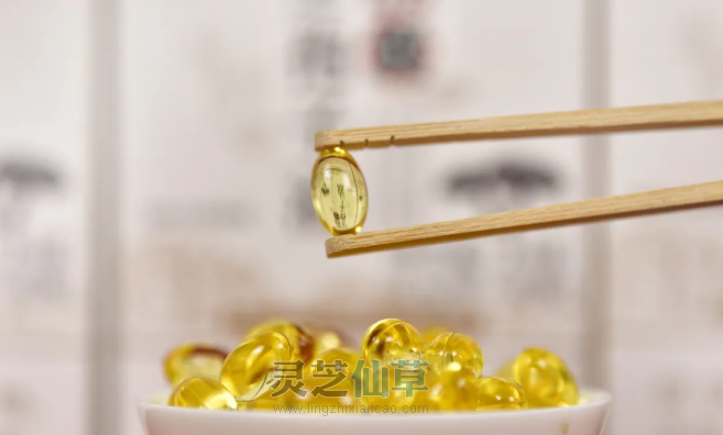 一味成方尹涛：为什么专家更建议灵芝孢子粉和孢子油搭配着吃？
