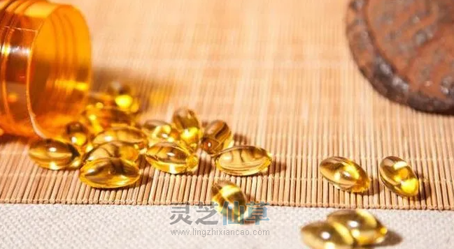泰山灵芝尹涛：最需要吃灵芝孢子油的15类人