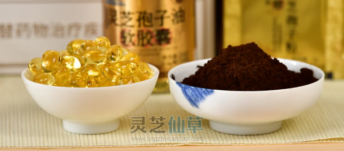 泰山灵芝尹涛：冬病夏治，灵芝孢子粉和孢子油协同调理更高效