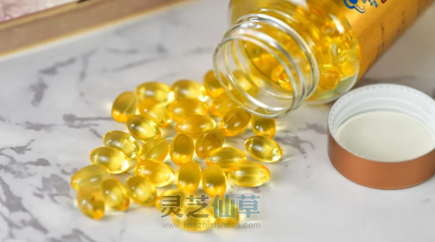 一味成方：如何挑选灵芝孢子油？八步工艺成就精品