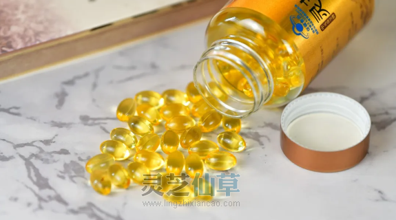 一味成方尹涛：为什么专家更建议灵芝孢子粉和孢子油搭配着吃？