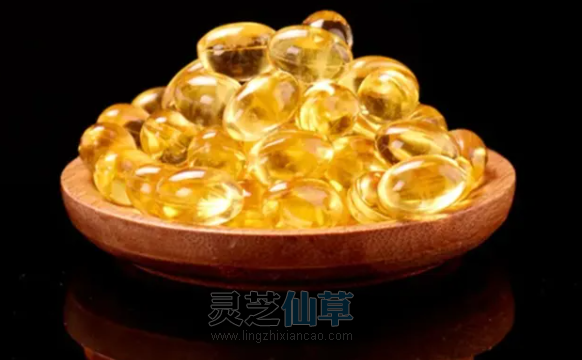 一味成方：如何挑选灵芝孢子油？八步工艺成就精品