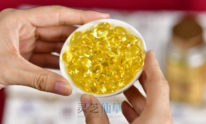 一味成方尹涛：为什么专家更建议灵芝孢子粉和孢子油搭配着吃？