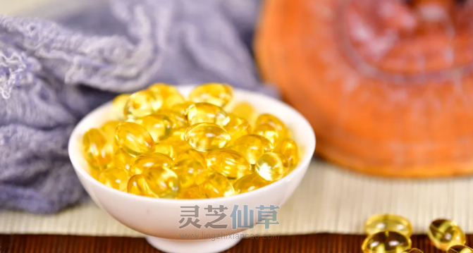 泰山灵芝尹涛：冬病夏治，灵芝孢子粉和孢子油协同调理更高效