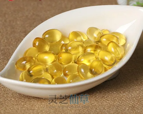 泰山灵芝尹涛：最需要吃灵芝孢子油的15类人