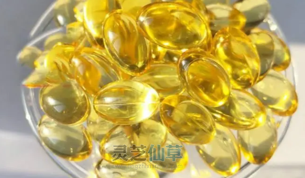 为什么面对这些磨人的慢性病，只用灵芝就够了？