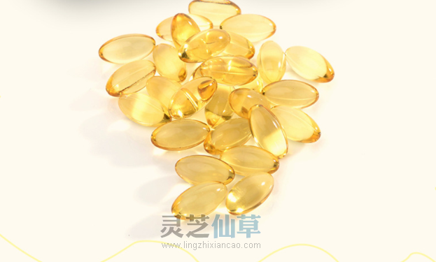 冬病夏治，夏季吃灵芝好处多多！