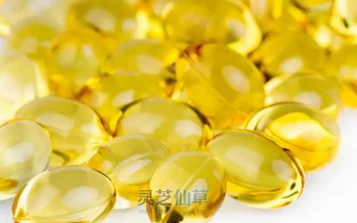 揭开谜底！小小灵芝能量强， 保健食品保健康！