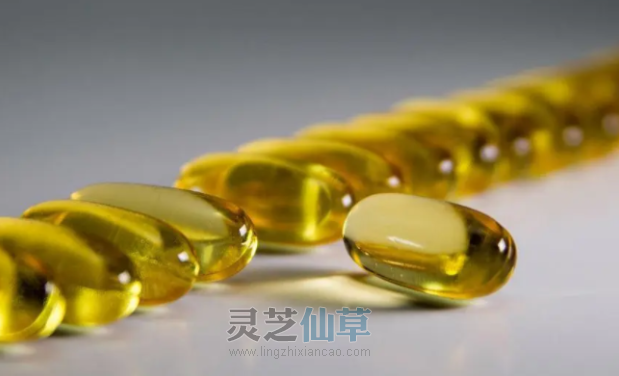 冬病夏治，夏季吃灵芝好处多多！
