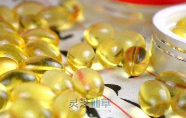 吃灵芝上火吗？看完这篇文章你就有答案了！