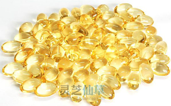 为什么面对这些磨人的慢性病，只用灵芝就够了？