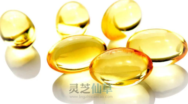 灵芝孢子油：免疫系统的营养师，对抗肿瘤最强兵