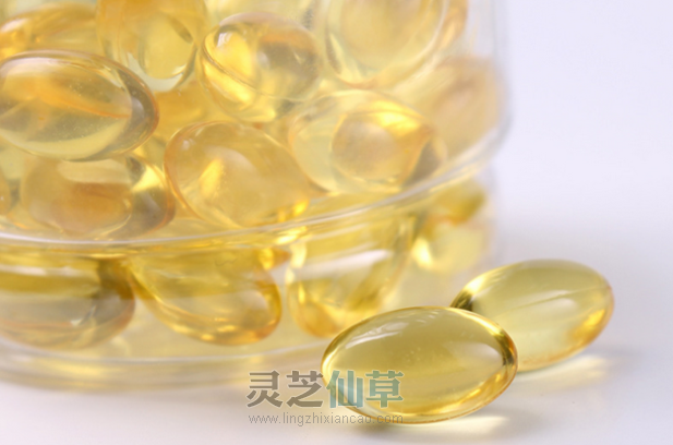 冬病夏治,夏季吃灵芝好处多多! 冬病夏治,夏季吃灵芝好处多多!