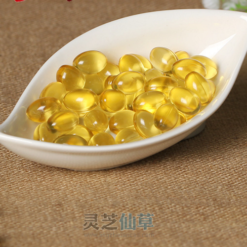吃灵芝孢子油有什么好处? 吃灵芝孢子油有什么好处?