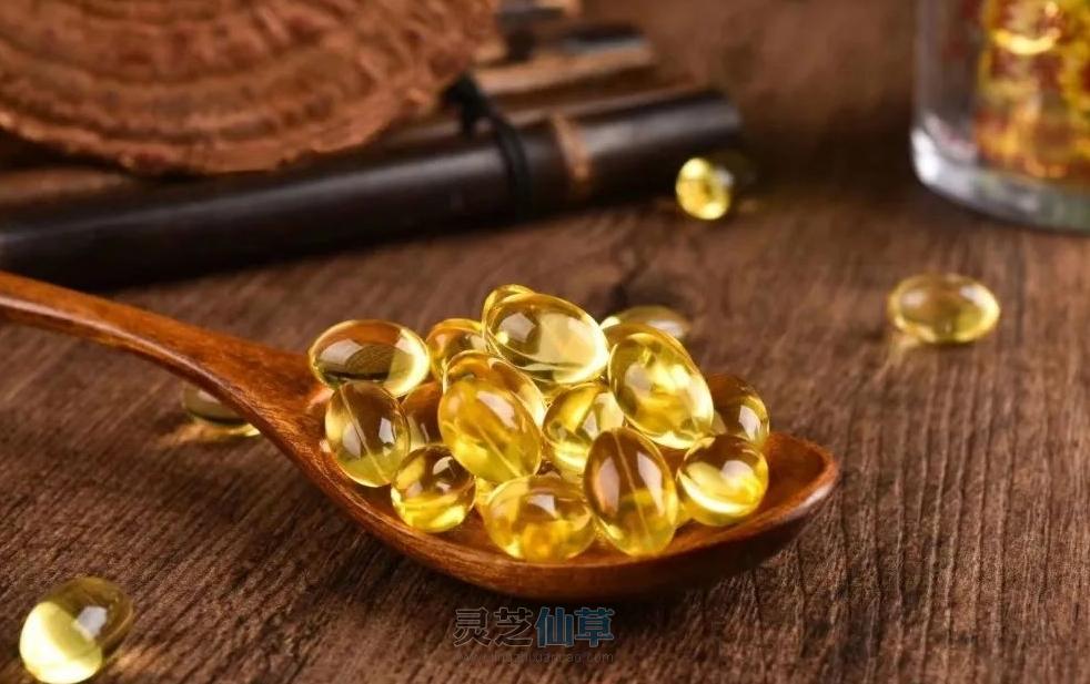 灵芝孢子油:激发人体抗癌卫士NK细胞活性,守护健康防线! 灵芝孢子油:激发人体抗癌卫士NK细胞活性,守护健康防线!
